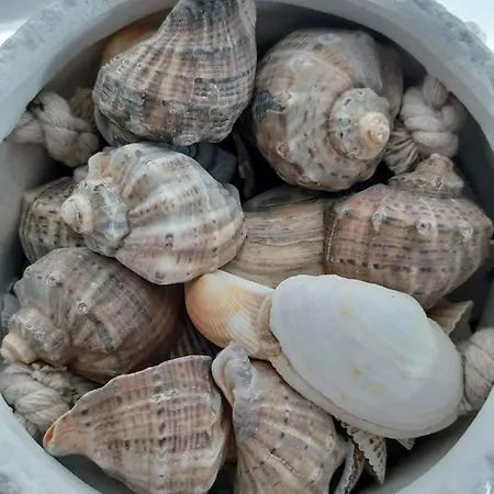 Πανσιόν Aqua 2*