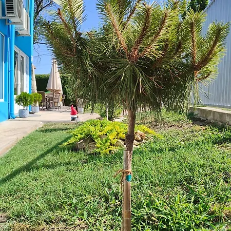 Πανσιόν Aqua 2*