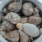 招待所 Aqua 2*